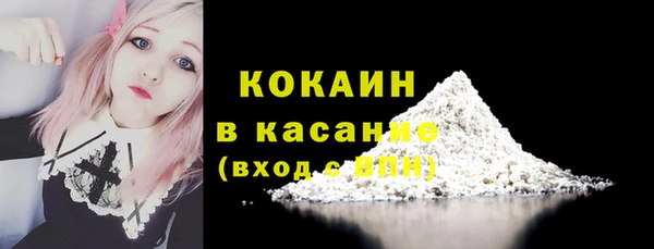 ПСИЛОЦИБИНОВЫЕ ГРИБЫ Гусь-Хрустальный