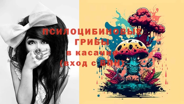герыч Алексин