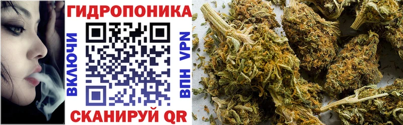 blacksprut ссылки  Менделеевск  Конопля индика 